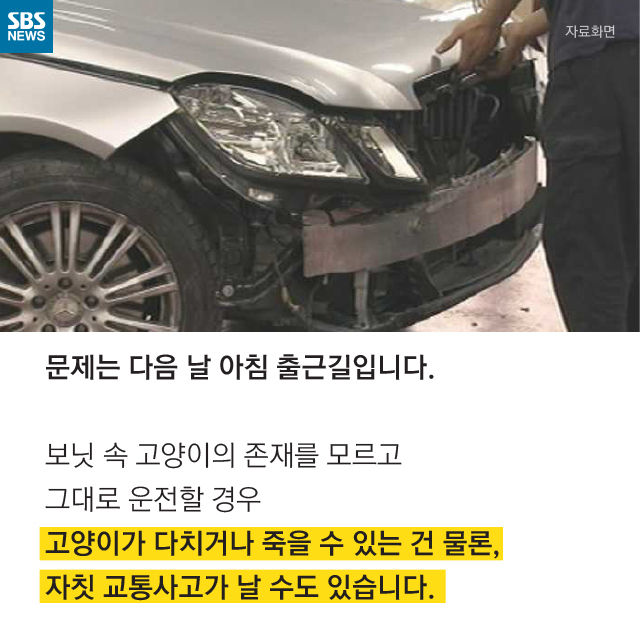 메인이미지  8 : 