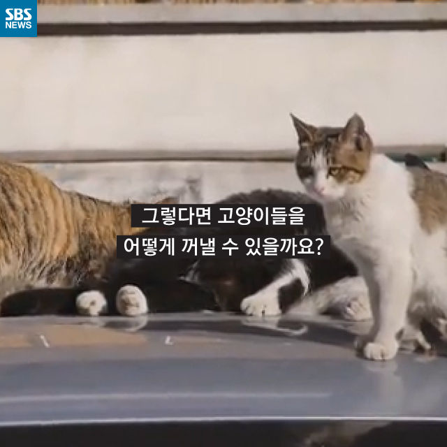 메인이미지  9 : 