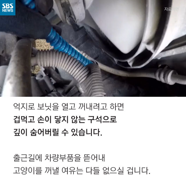메인이미지  10 : 