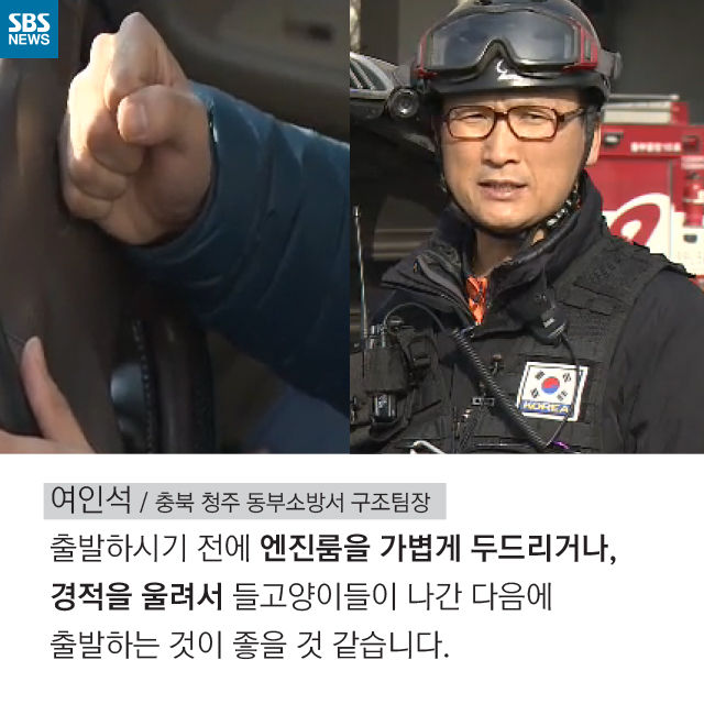메인이미지  12 : 