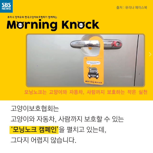 메인이미지  13 : 