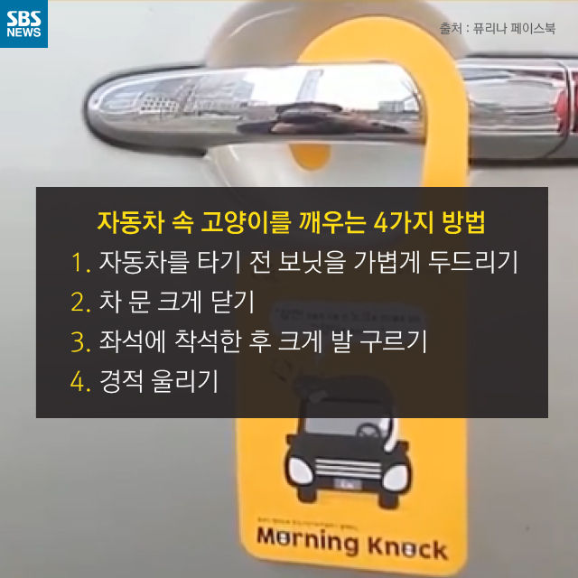 메인이미지  14 : 