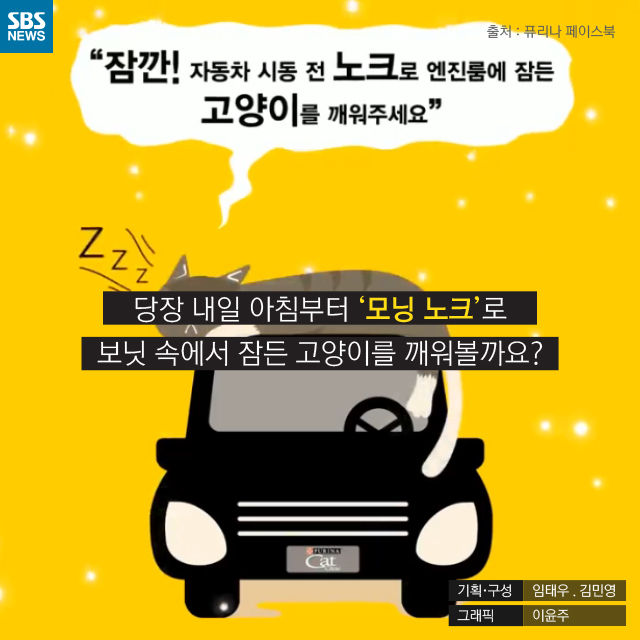메인이미지  15 : 