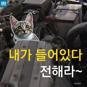 [카드뉴스] 내가 들어있다 전해라&sim; 똑&middot;똑&middot;똑