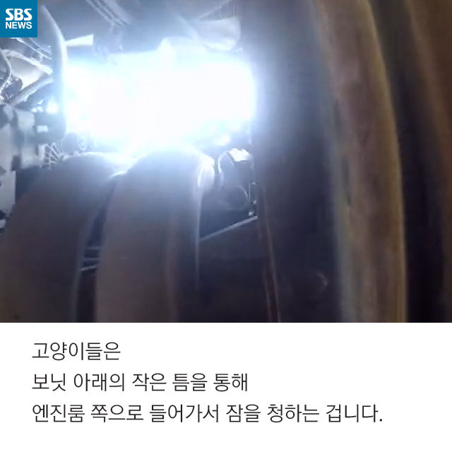 메인이미지  7 : 