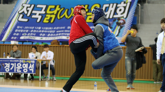 메인이미지  8 : 12일 춘천시 한림대체육관에서 '제1회 소양강배 전국 닭싸움 대회'가 열렸다. 이 대회는 춘천시가 닭갈비의 고장을 알리고자 마련했다.