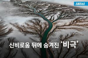 신비로운 풍경 사진 속 숨겨진 '안타까운 비극'