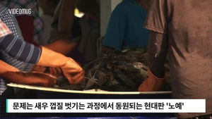 [비디오머그] 감금 당한 채 종일 껍질 까기&hellip;태국 '새우 노예'