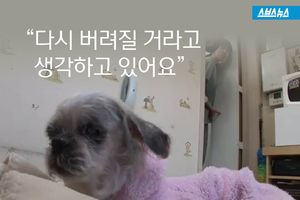 벽만 쳐다보는 시한부 강아지, 속마음 들어보니 '뭉클'