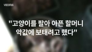 [비디오머그] 길고양이 생포해 넘긴 곳은&hellip;잔혹한 욕심