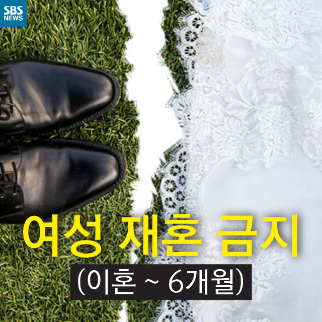 메인이미지  1 : 