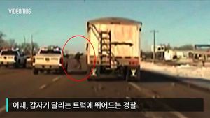 [비디오머그] 달리는 트럭에 뛰어든 경찰&hellip; 기절한 운전자 목숨 구해