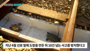 [자막뉴스] "거북아 기차에 다칠라" 선로에 도랑 판 사연