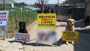 [취재파일] 소음에 시달린 개&hellip;첫 배상결정