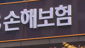 [김범주의 친절한 경제] 확 오르는 실손보험료&hellip;밑지고 팔았다?