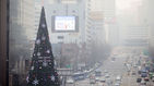 섬네일이미지  1: