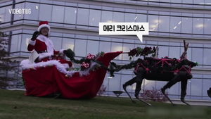 [비디오머그] 잔디밭을 가로지르는 괴상한 사슴 루돌프 '스폿'