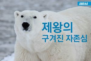 '어그적 어그적' 북극곰의 이상한 걸음&hellip;씁쓸한 이유