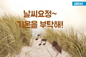 100년 전 발견&hellip;신통한 '귀뚜라미 온도계'