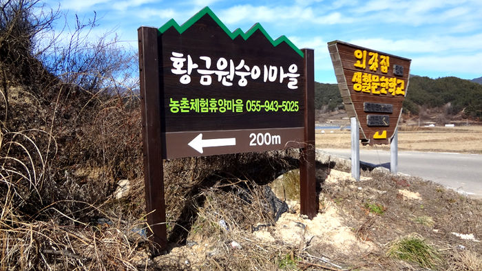 메인이미지  2 : 