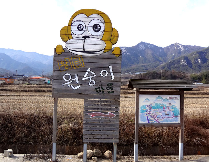 메인이미지  1 : 