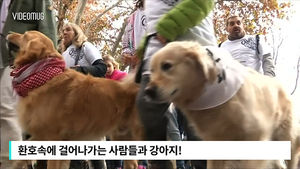 [비디오머그] "버리지 마세요" 흥겨운 강아지 달리기 대회