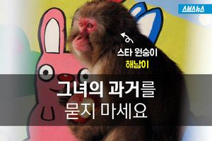 놀이공원 탈출한 원숭이 '해남이'&hellip;근황 '훈훈'