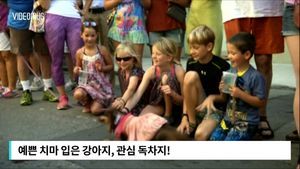 [비디오머그] 수백 마리 닥스훈트 행진&hellip;화려한 의상 '눈길'