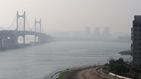 섬네일이미지  1: