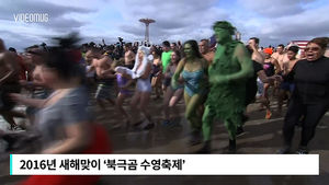 [비디오머그] 한겨울 바닷속으로 풍덩!&hellip;美 '북극곰 수영 축제'