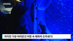 [비디오머그] '작은 해파리는 몇 마리?'&hellip;동물원의 점호 시간