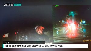 [자막뉴스] "버러지" 막말에 폭발한 운전사&hellip;또 '택시 갑질'
