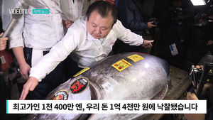 [자막뉴스] 참치 1마리 '1억 4천만 원'&hellip;새해 소망 담은 값
