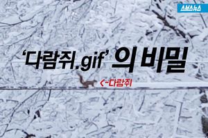 훈련받은 다람쥐의 전깃줄 '제설 작업'?&hellip;진실은