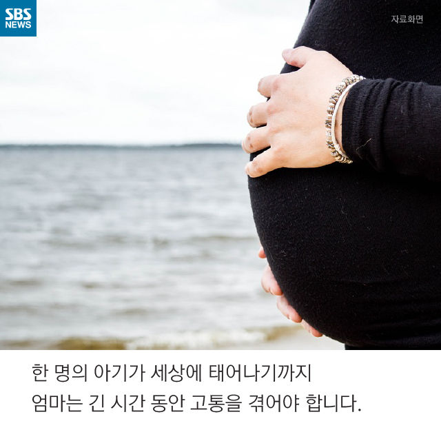 메인이미지  2 : 