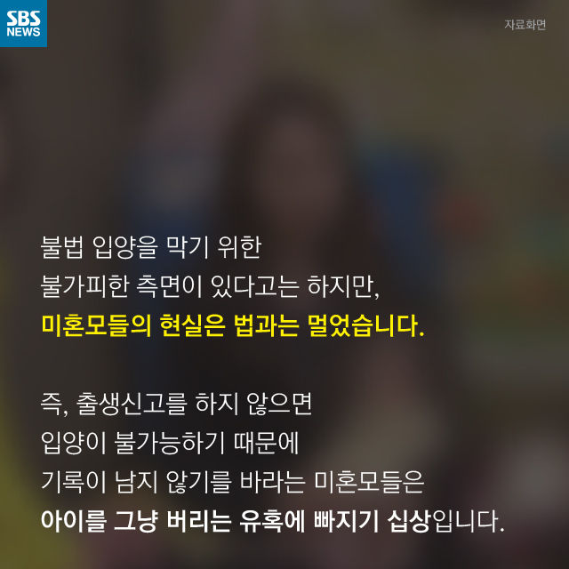 메인이미지  13 : 