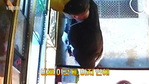 [비디오머그] 뱀을 훔치는 가장 완벽한 방법?!&hellip;바지 속에 뱀 넣어 훔쳐간 도둑