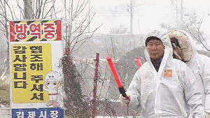 '구제역 발생' 전북 돼지, 다른 시&middot;도 반출금지