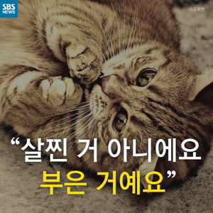 [카드뉴스] "살찐 거 아니에요 부은 거예요"