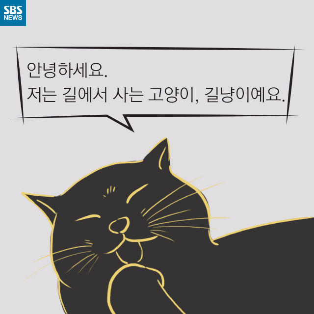 메인이미지  2 : 