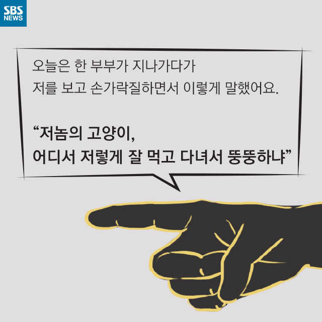 메인이미지  4 : 