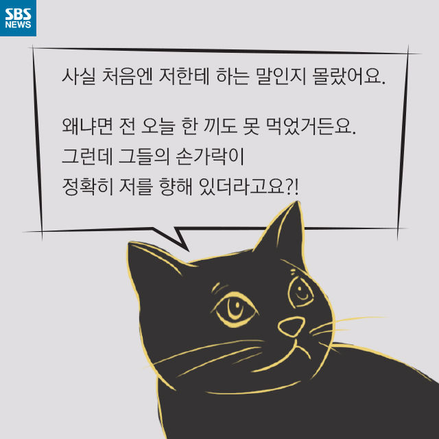 메인이미지  5 : 