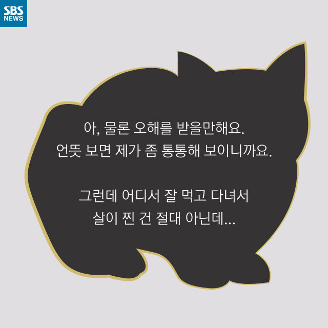 메인이미지  6 : 