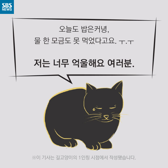 메인이미지  7 : 