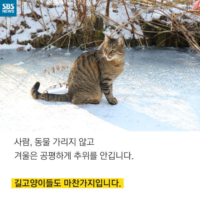 메인이미지  8 : 