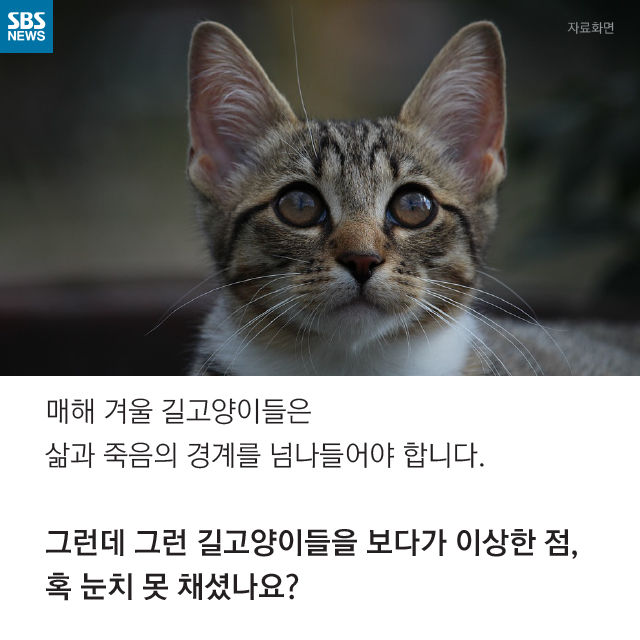 메인이미지  9 : 