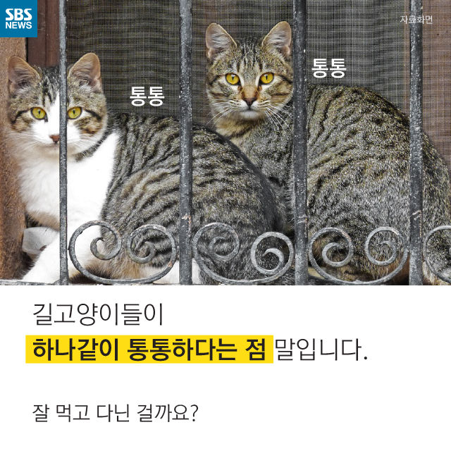 메인이미지  10 : 