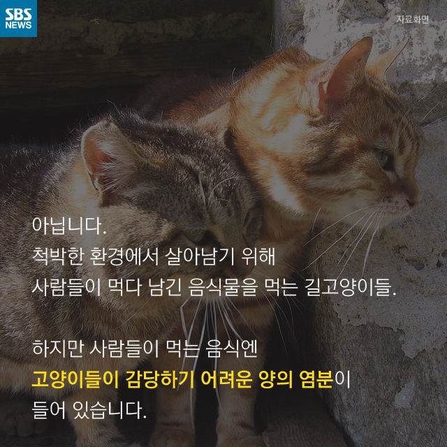 메인이미지  11 : 