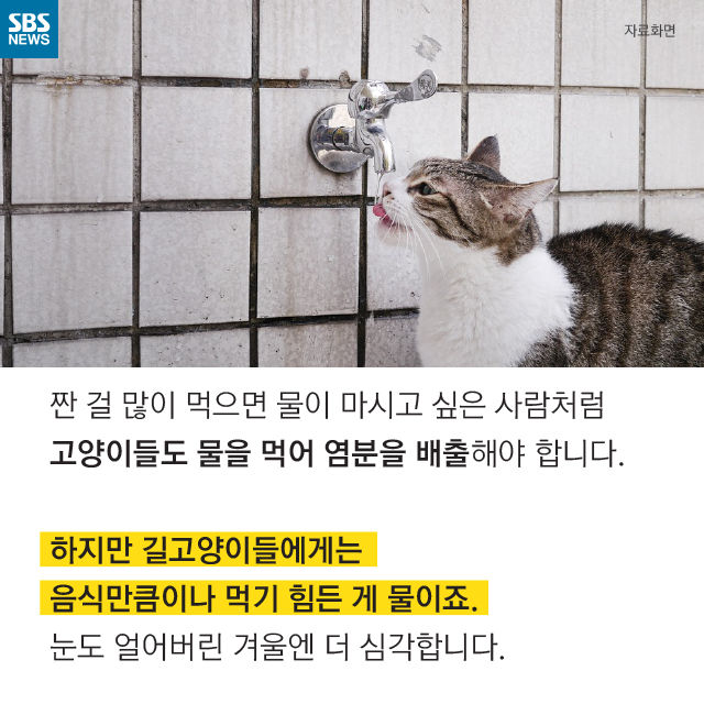 메인이미지  12 : 