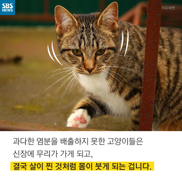 메인이미지  13 : 